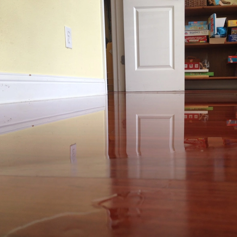 High-gloss self-leveling epoxy coating over a residential wood floor.